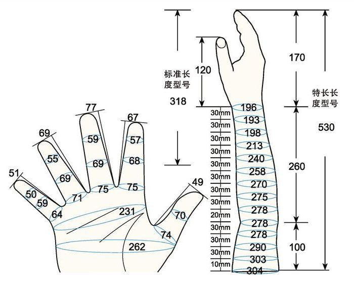 101 L male adult L rig measure sc regal prosthesis