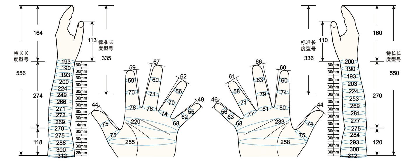 101 L male adult L1 measure sc regal prosthesis