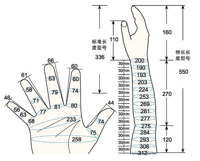 101 L male adult L1 rig measure sc regal prosthesis
