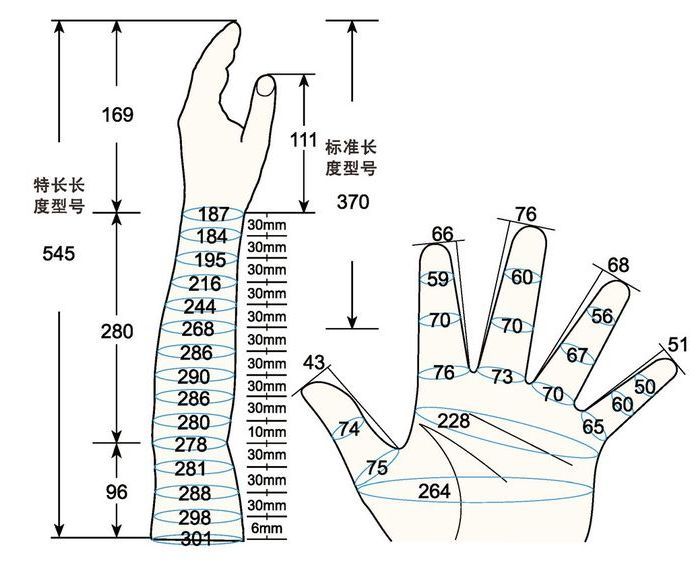 101 L male adult L2 left measure sc regal prosthesis