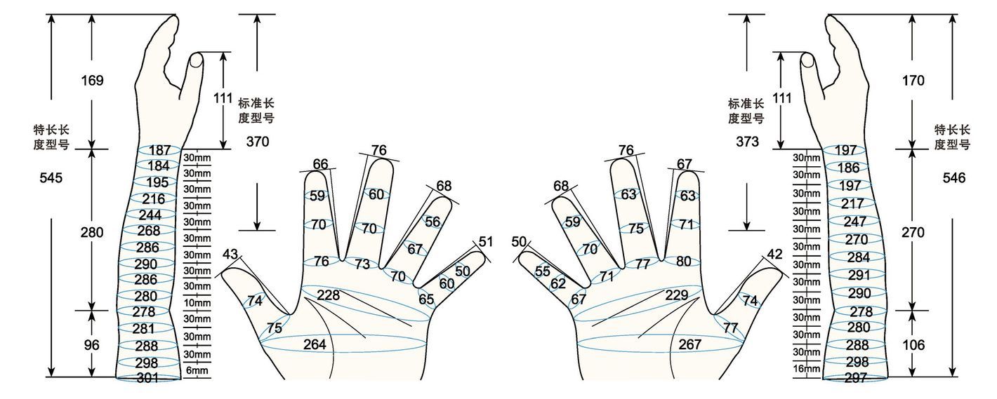 101 L male adult L2 measure sc regal prosthesis