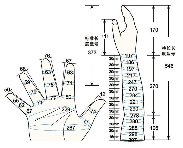 101 L male adult L2 rig measure sc regal prosthesis