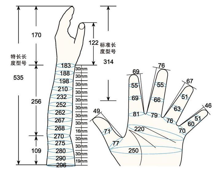 101 L male adult LM left measure sc regal prosthesis