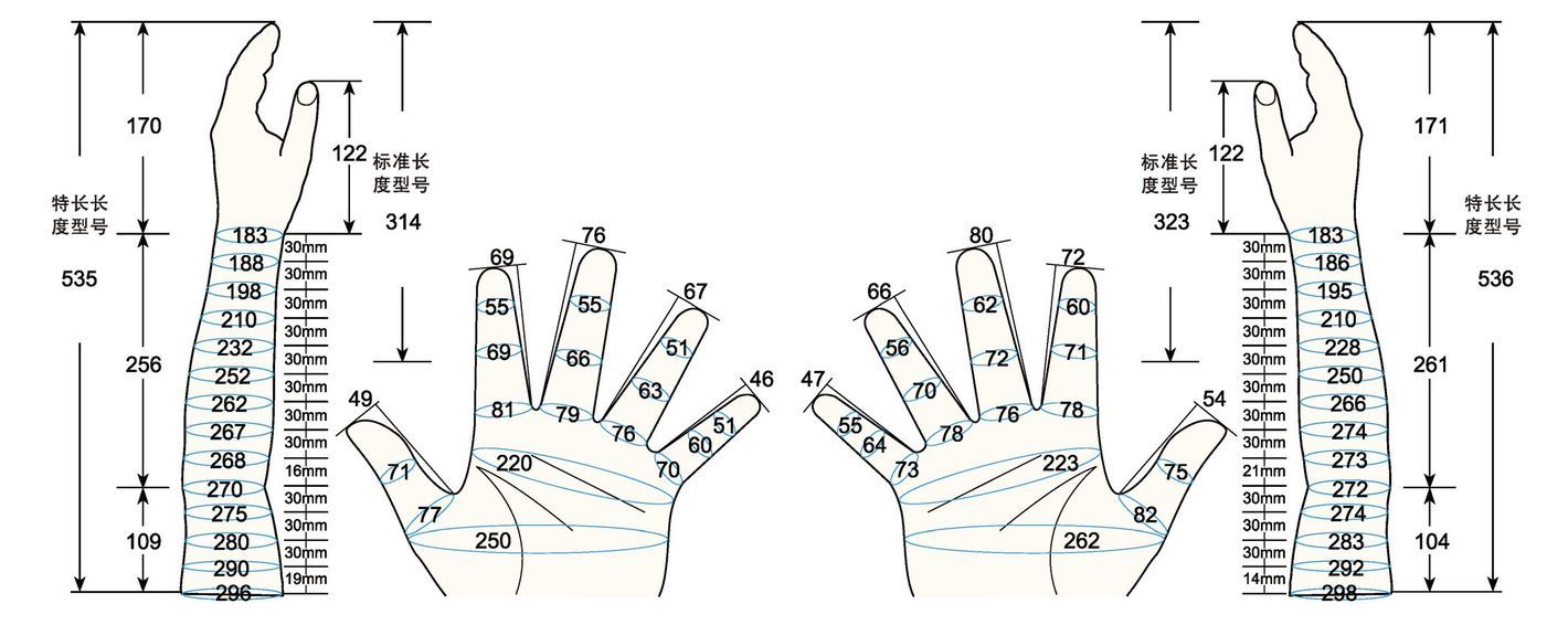 101 L male adult LM measure sc regal prosthesis