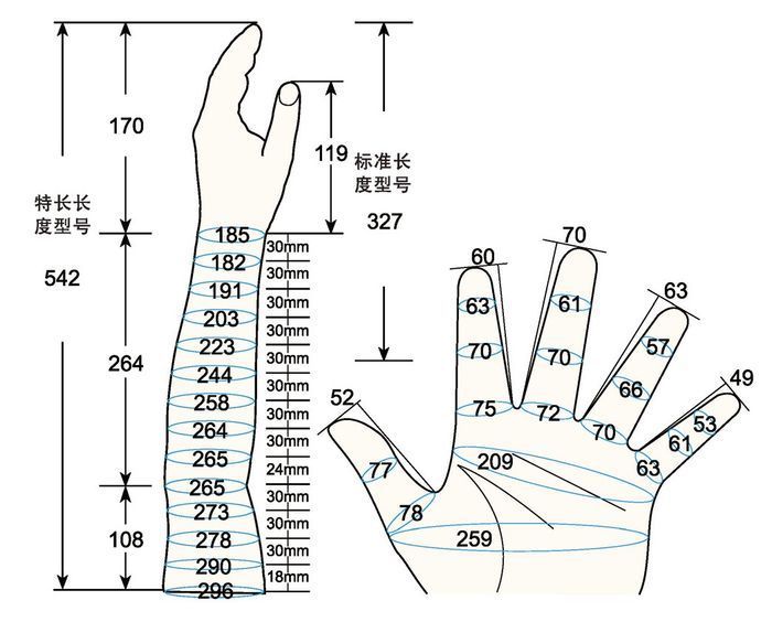 101 L male adult M left measure sc regal prosthesis