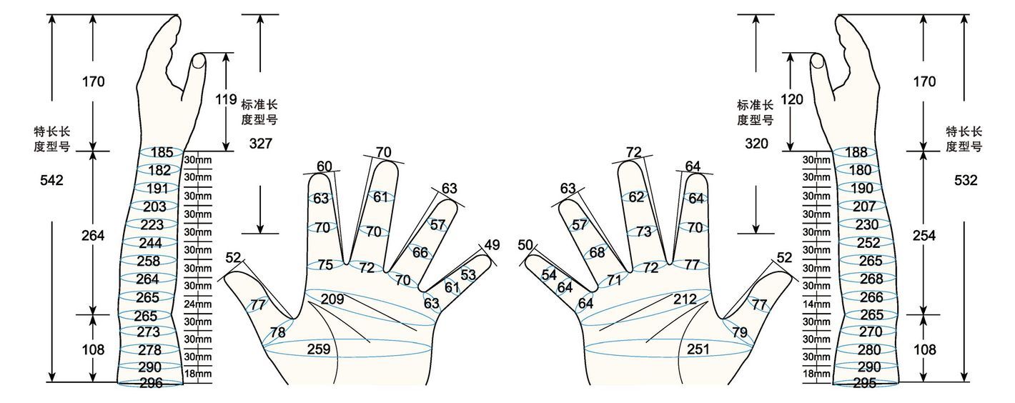 101 L male adult M measure sc regal prosthesis