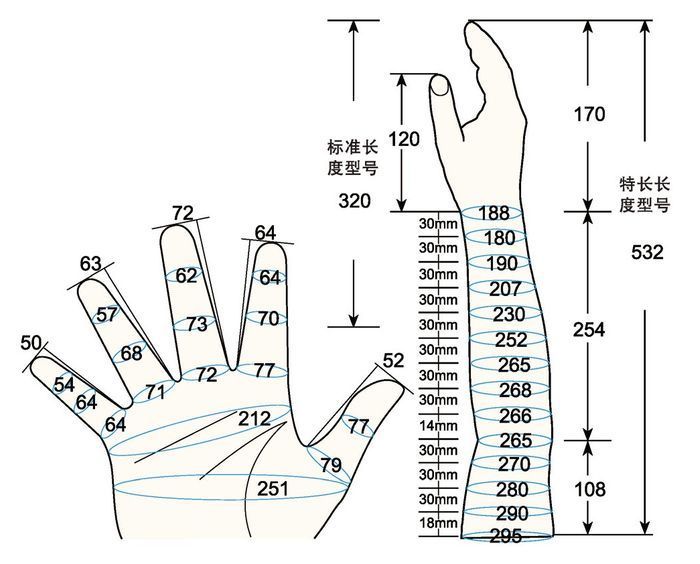 101 L male adult M rig measure sc regal prosthesis