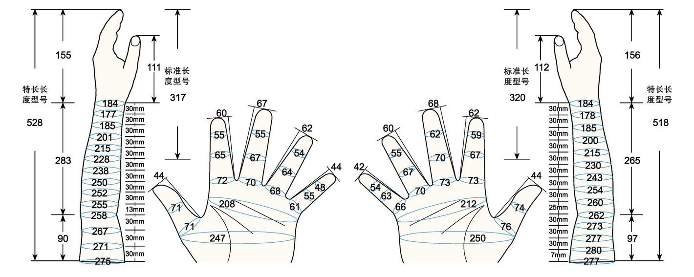 101 L male adult M1 measure sc regal prosthesis