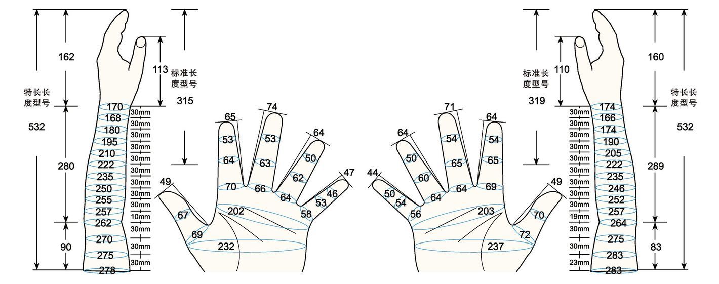 101 L male adult M2 measure sc regal prosthesis
