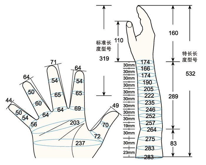 101 L male adult M2 rig measure sc regal prosthesis