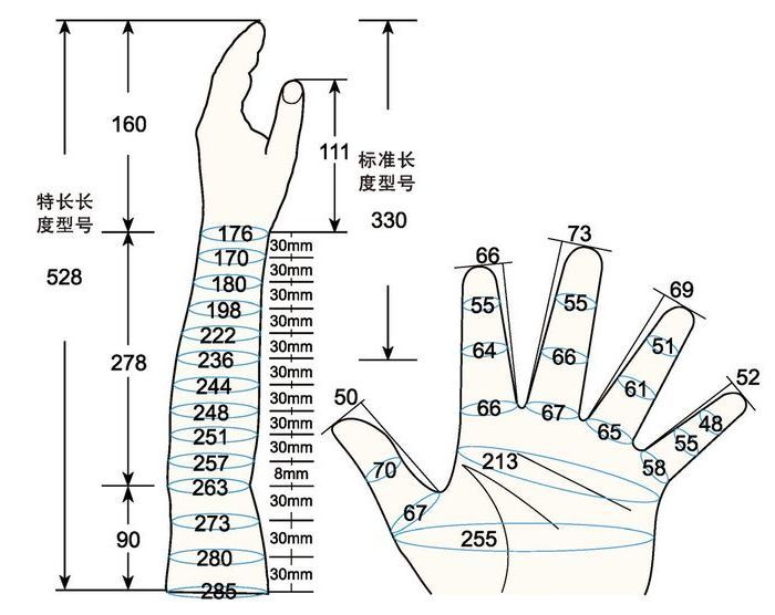 101 L male adult M3 left measure sc regal prosthesis