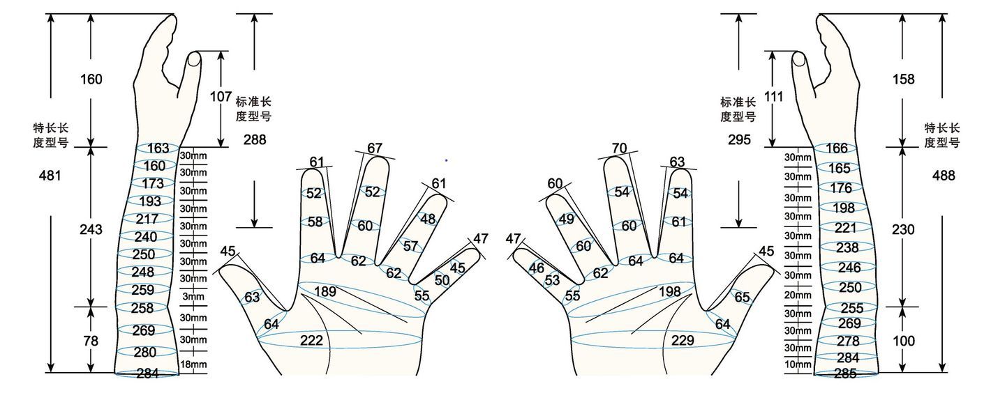 101 L male adult MS measure sc regal prosthesis