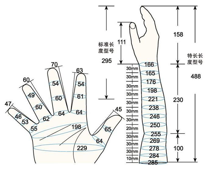 101 L male adult MS rig measure sc regal prosthesis