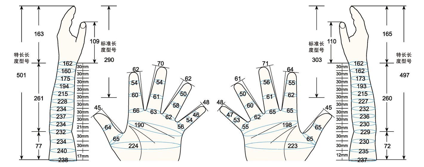 101 L male adult MS1 measure sc regal prosthesis
