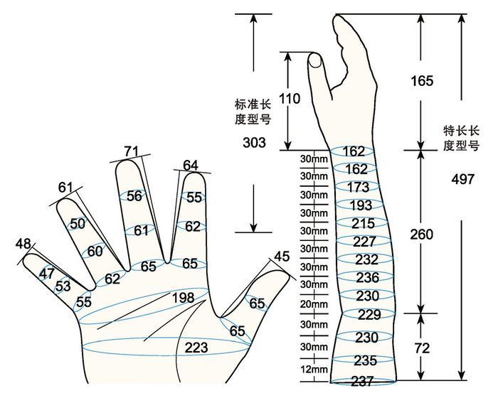 101 L male adult MS1 rig measure sc regal prosthesis