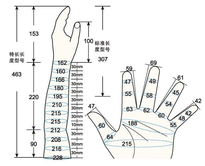 101 L male adult S left measure sc regal prosthesis