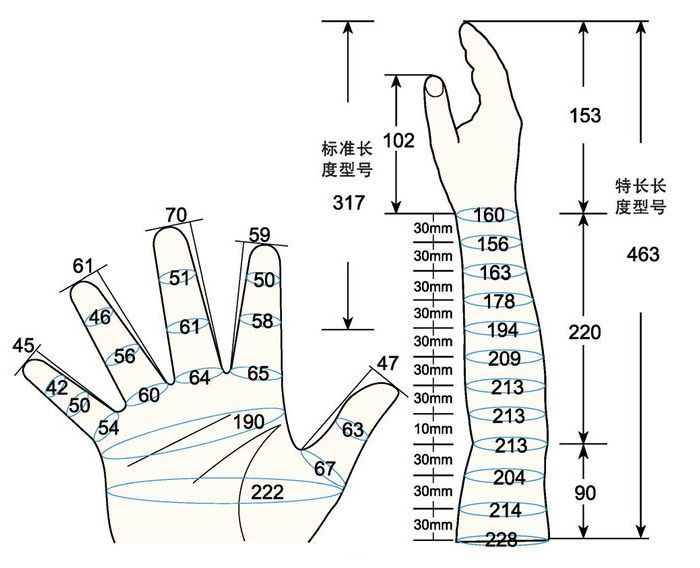 101 L male adult S rig measure sc regal prosthesis