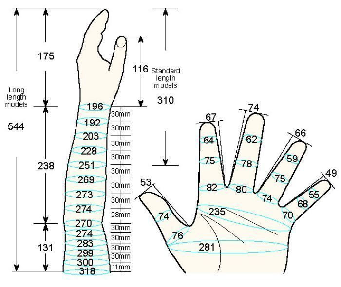 101 L male adult XL measure left hand regal prosthesis