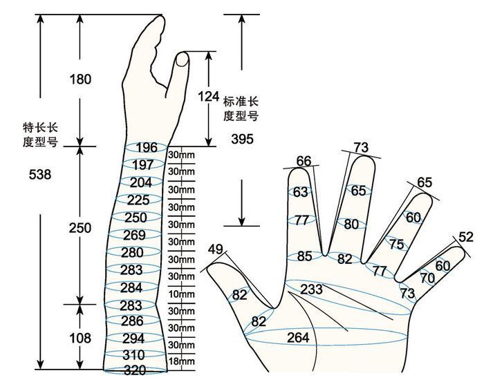 101 L male adult XL1 left measure sc regal prosthesis