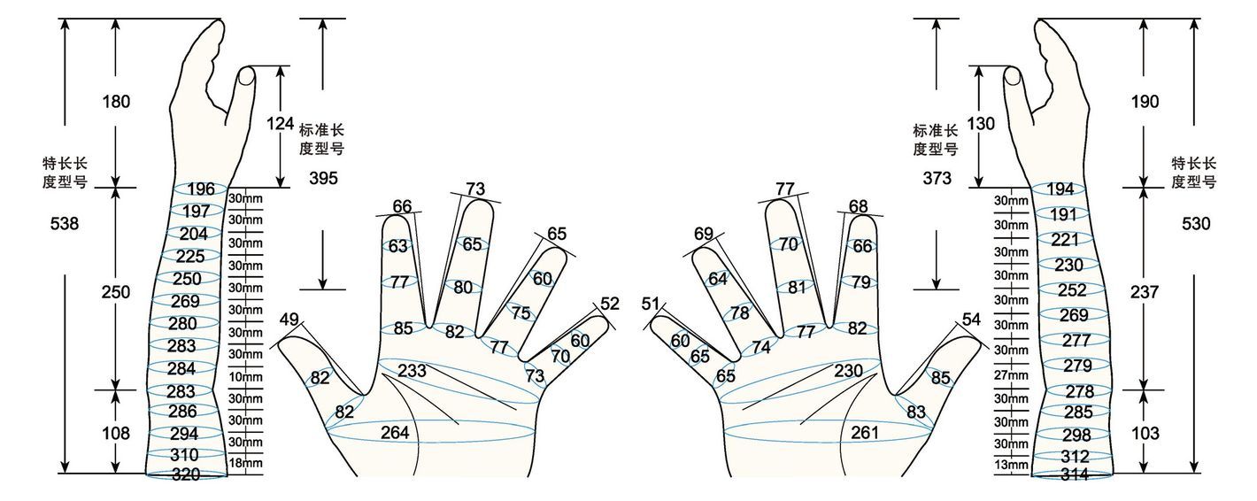 101 L male adult XL1 measure sc regal prosthesis