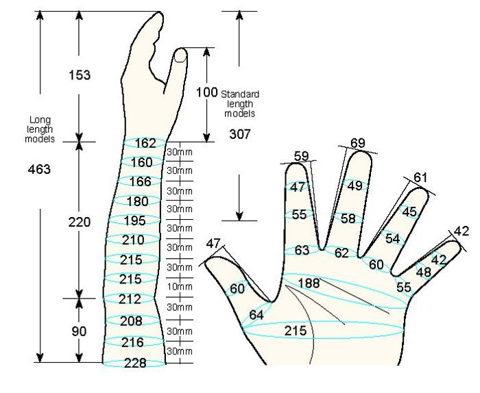 101 L male child L measure left hand regal prosthesis