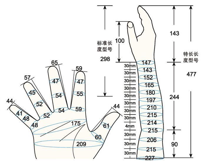 101 L male child M rig measure sc regal prosthesis