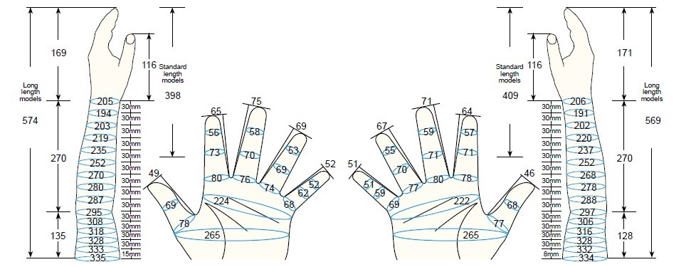 101 LL Male adult L3 measurement