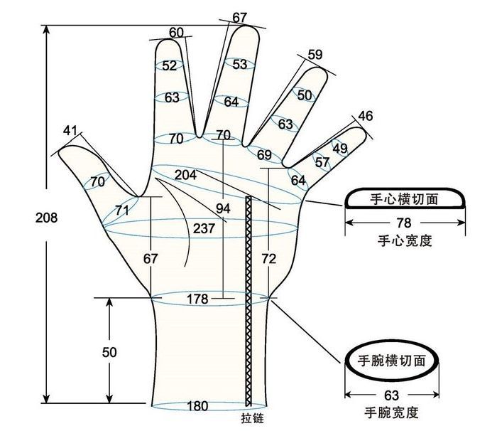 103 female adult L left hand measure sc regal prosthesis