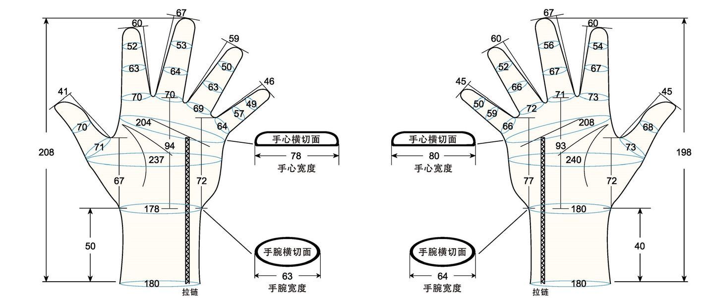 103 female adult L measure sc regal prosthesis
