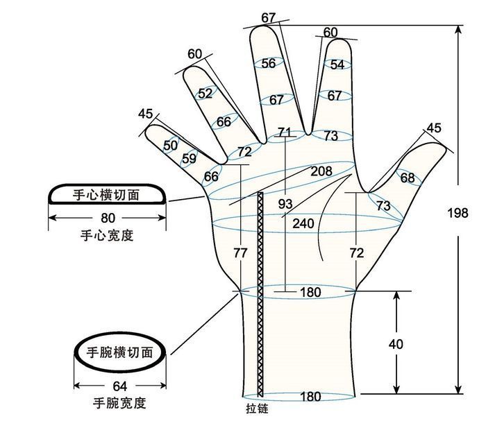 103 female adult L right hand measure sc regal prosthesis