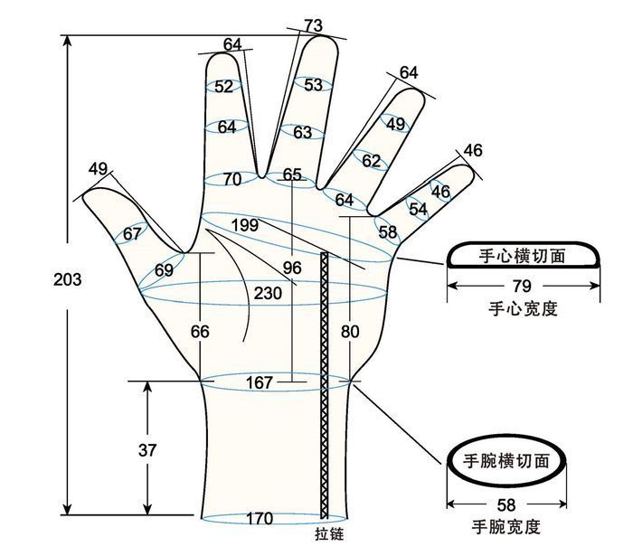 103 female adult L1 left hand measure sc regal prosthesis