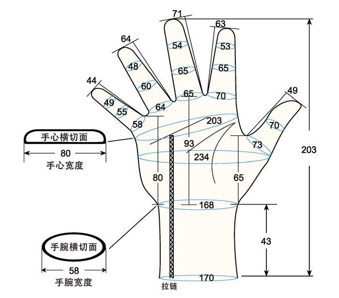 103 female adult L1 right hand measure sc regal prosthesis