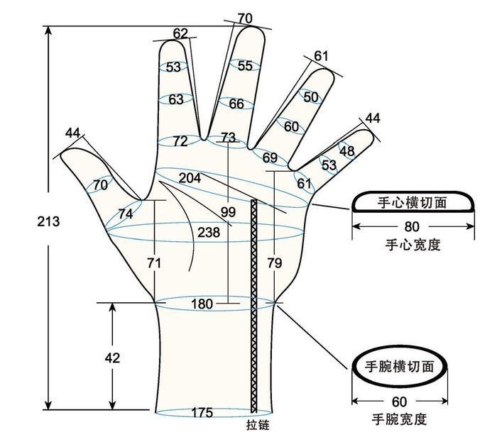 103 female adult L2 left hand measure sc regal prosthesis