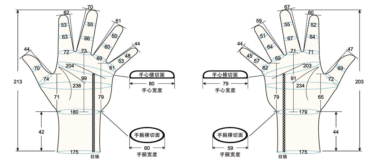 103 female adult L2 measure sc regal prosthesis