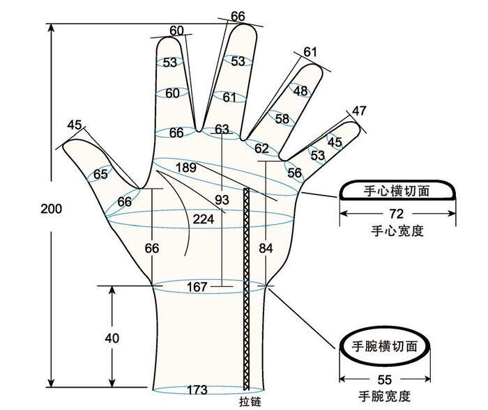 103 female adult LM left hand measure sc regal prosthesis