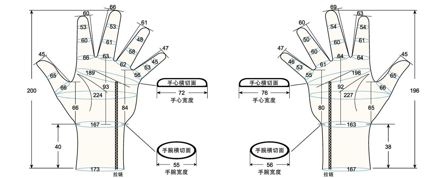 103 female adult LM measure sc regal prosthesis