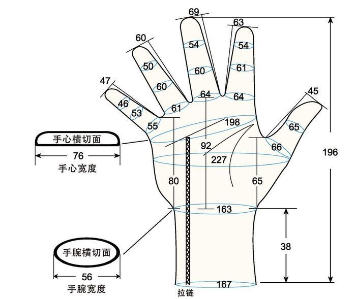 103 female adult LM right hand measure sc regal prosthesis