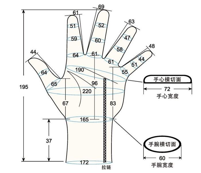 103 female adult LM1 left hand measure sc regal prosthesis