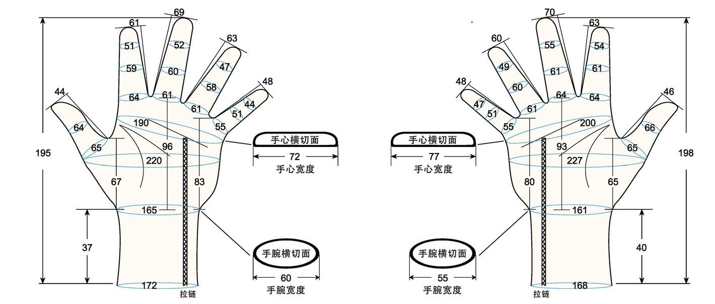 103 female adult LM1 measure sc regal prosthesis