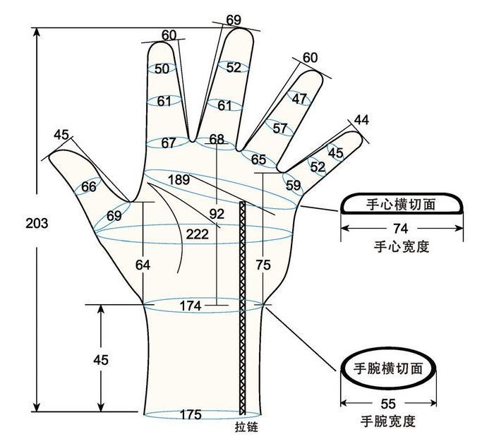 103 female adult M left hand measure sc regal prosthesis