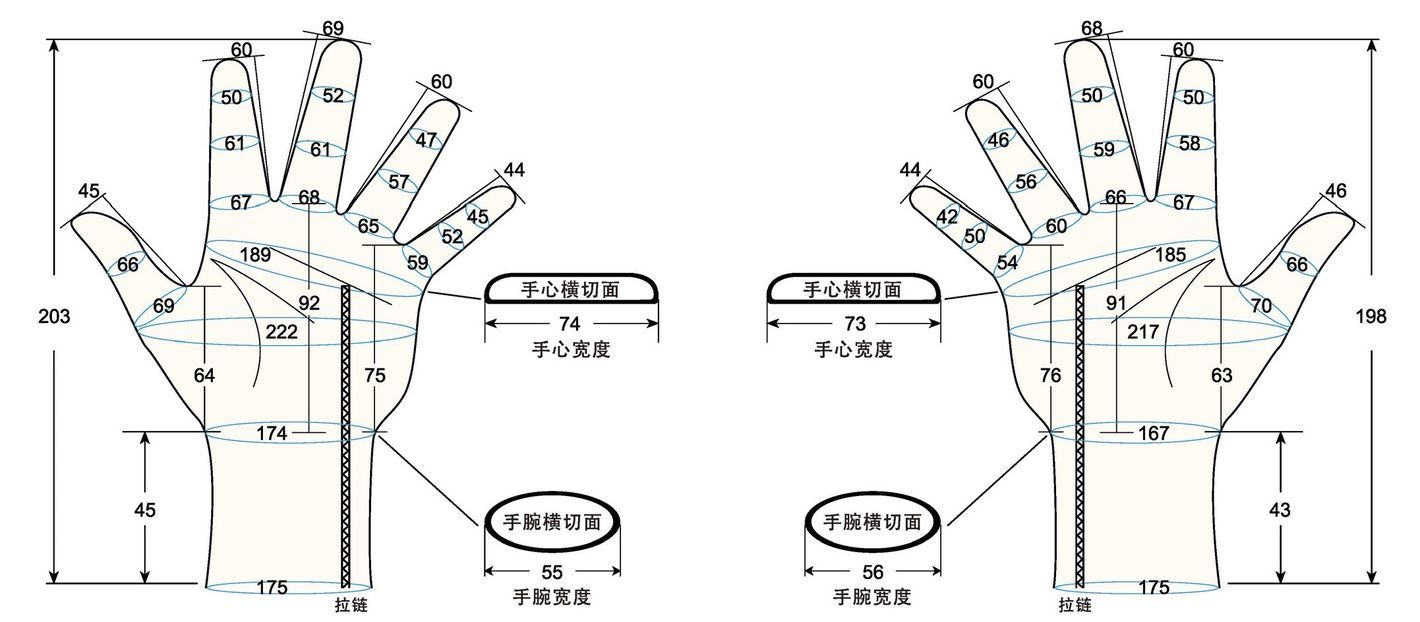 103 female adult M measure sc regal prosthesis