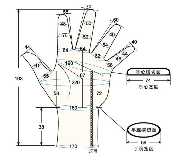 103 female adult MS left hand measure sc regal prosthesis