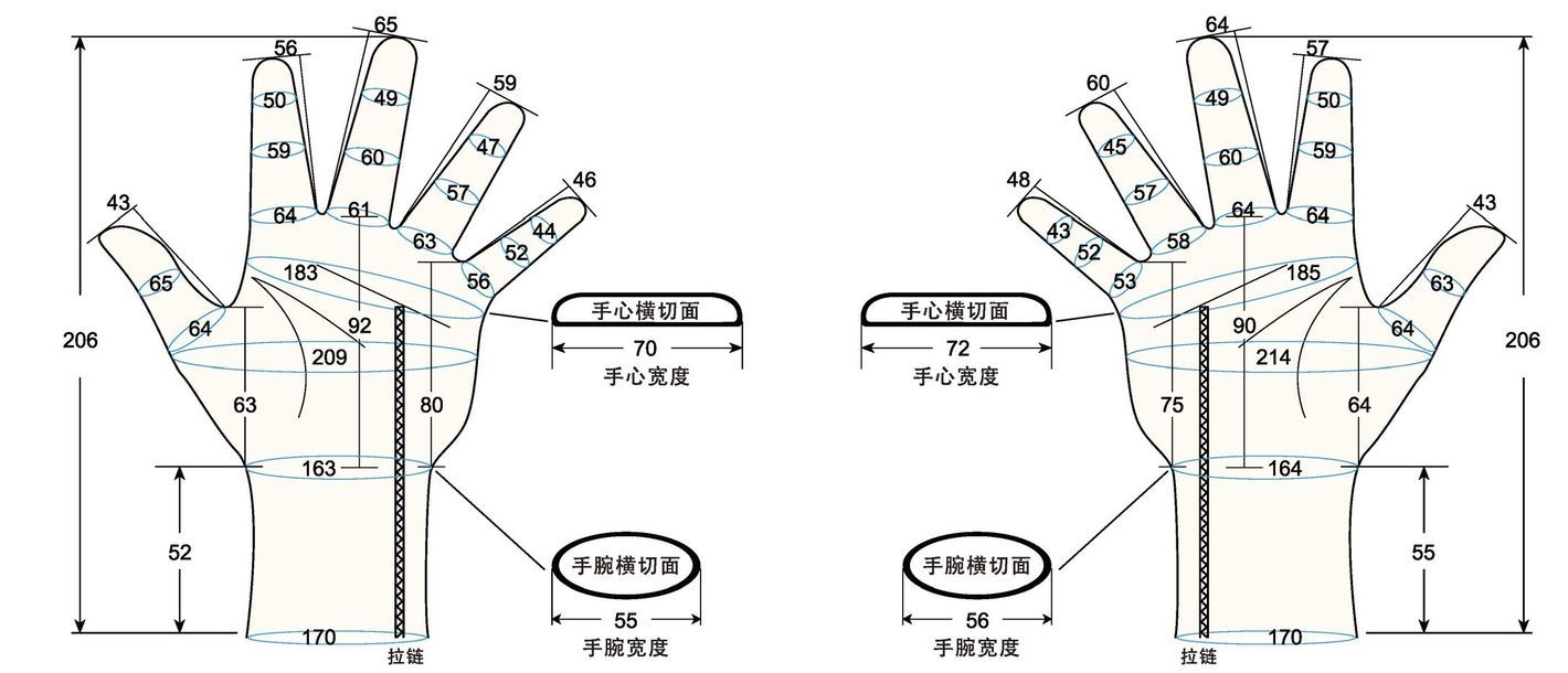 103 female adult MS2 measure sc regal prosthesis