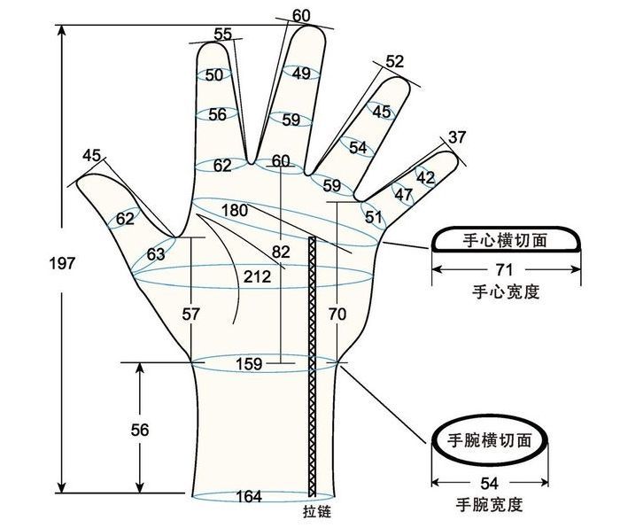 103 female adult S left hand measure sc regal prosthesis