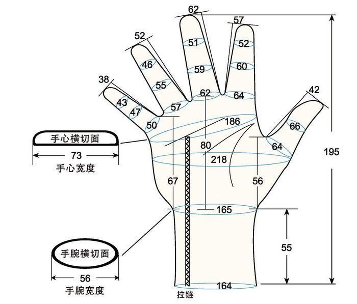 103 female adult S right hand measure sc regal prosthesis