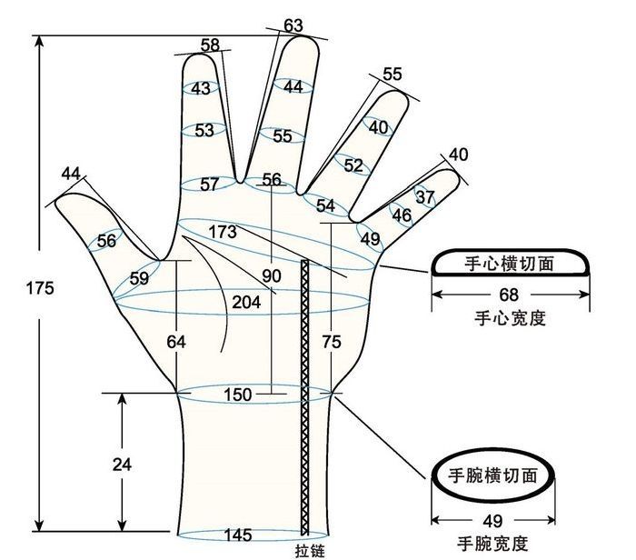 103 female child M left hand measure sc regal prosthesis