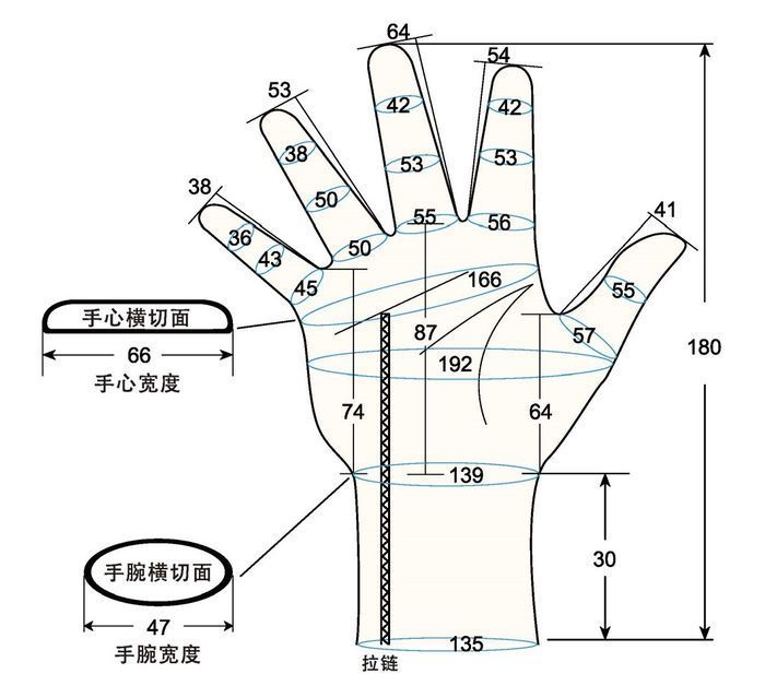 103 female child M right hand measure sc regal prosthesis