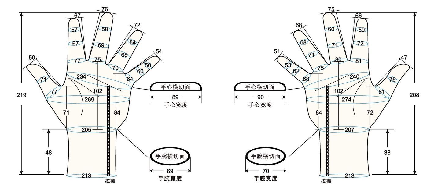 103 male adult L measure sc regal prsothesis