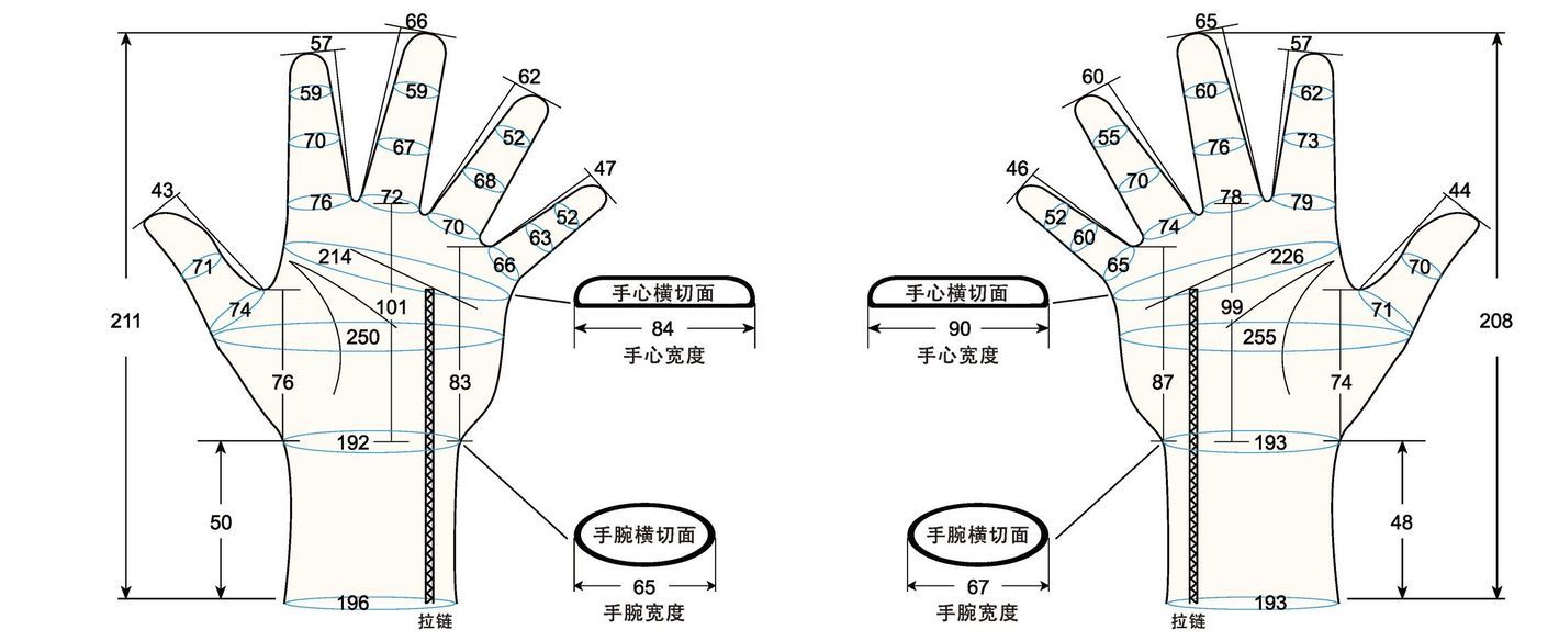 103 male adult L1 measure sc regal prosthesis