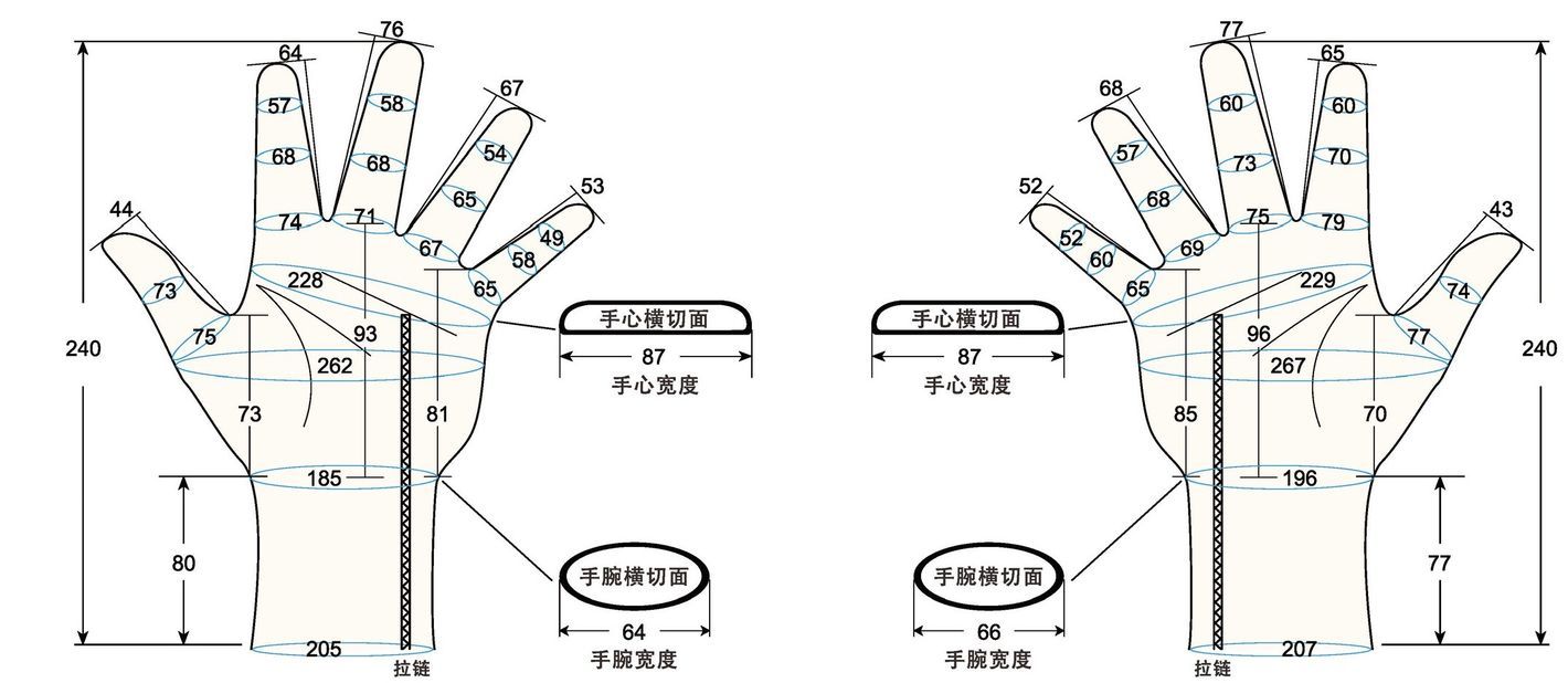 103 male adult L2 measure sc regal prosthesis